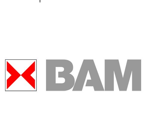 BAM Logo