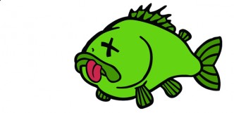 Toter Fisch